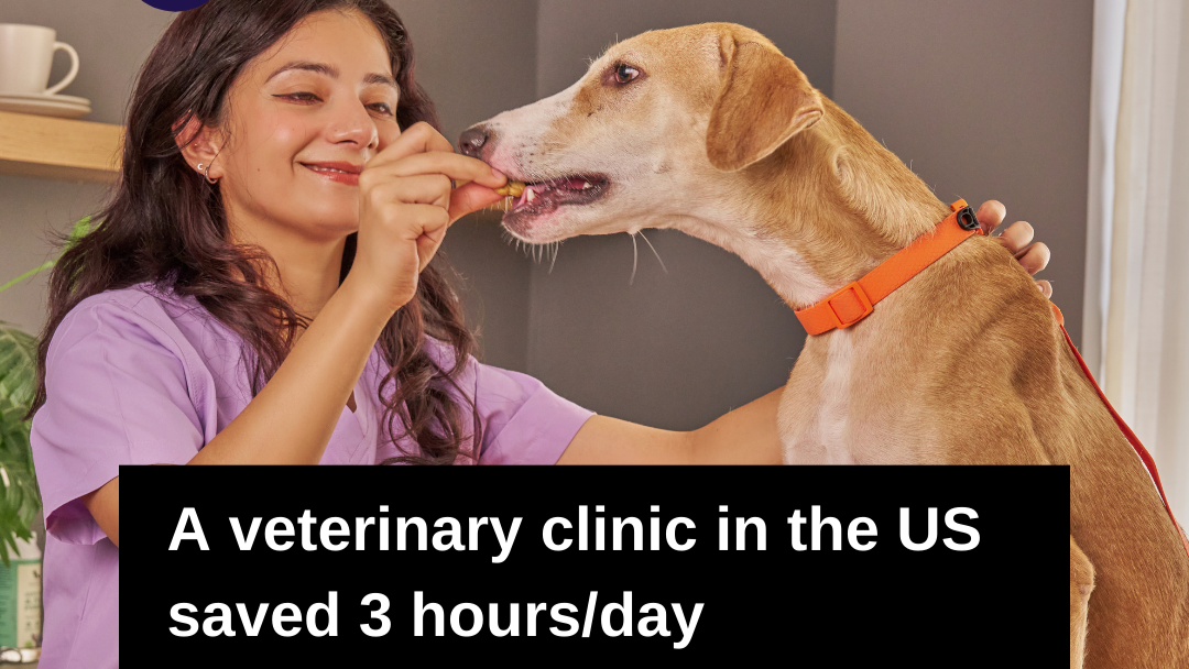 BVS Veterinary Clinic Workflow Automation